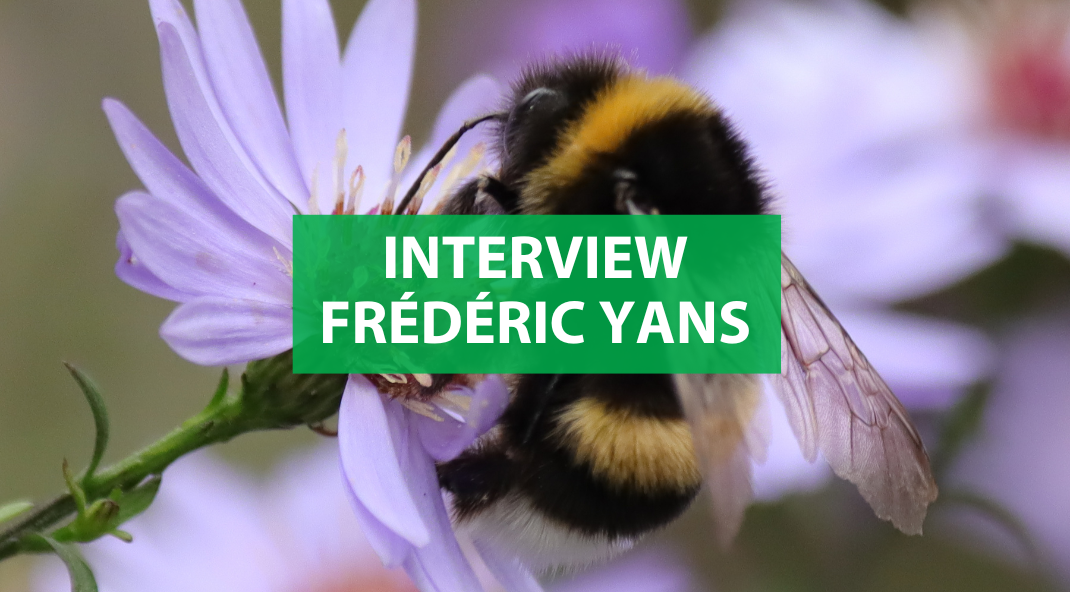 Een bij die nectar verzamelt van een bloem, met een groen kader waarin de tekst 