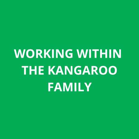 Visual with the text 'Working within the kangaroo family' on a green background, symbolizing teamwork and unity.